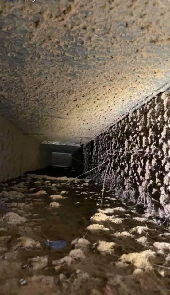 Slide of Maven Air Care