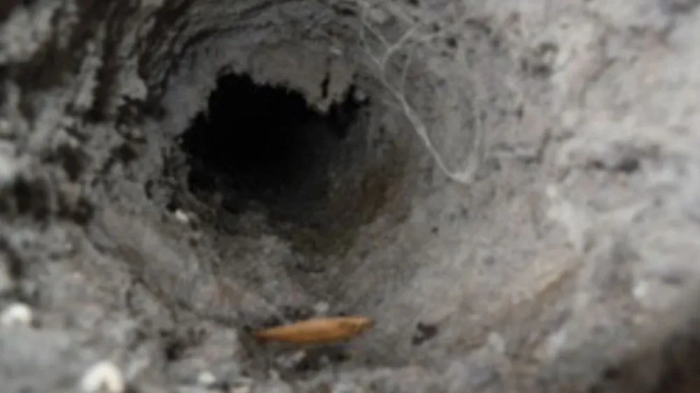 Slide of Maxima Duct Cleaning