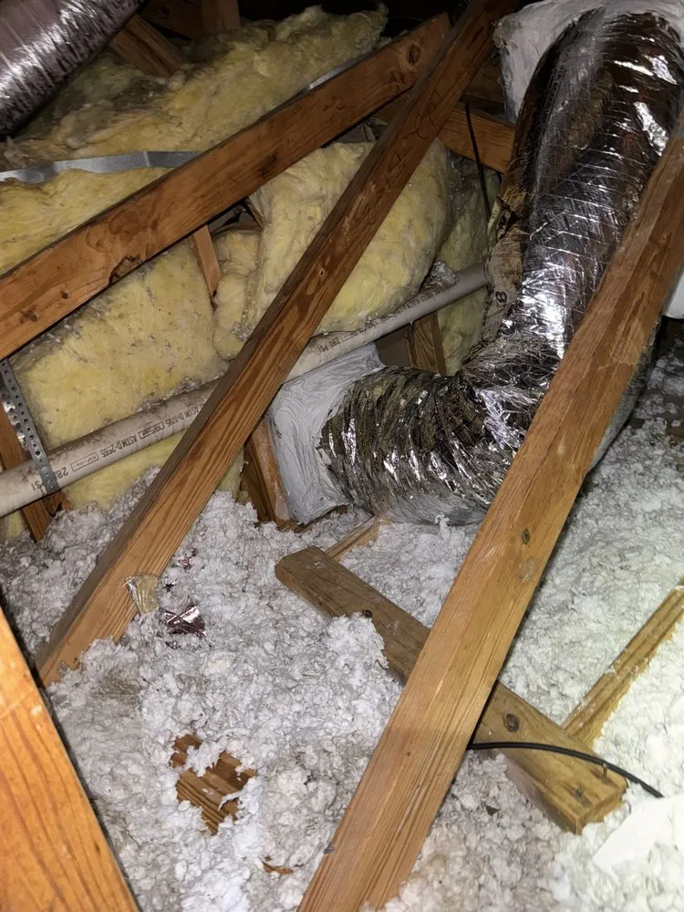 Slide of Maximum Air Experts