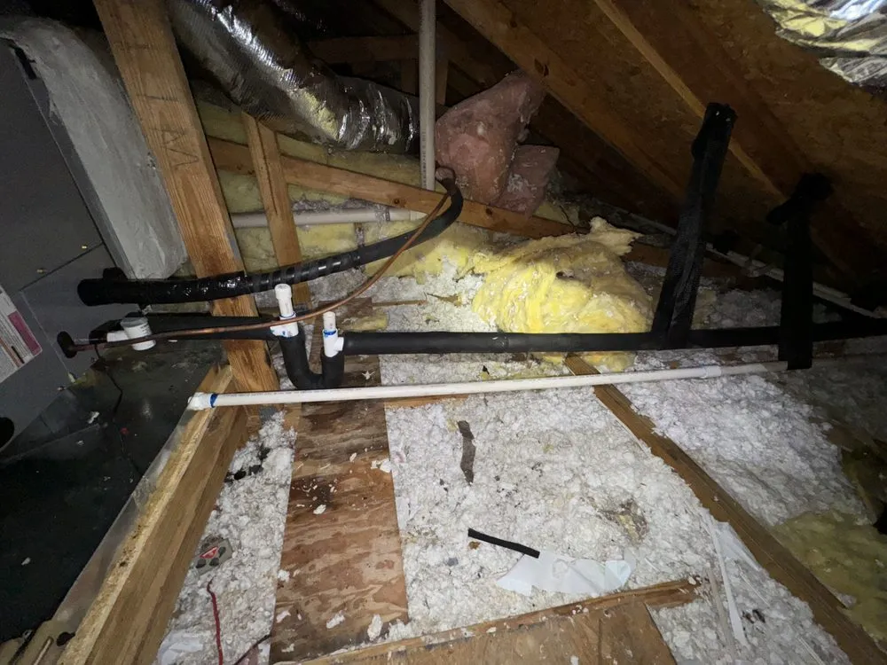 Slide of Maximum Air Experts