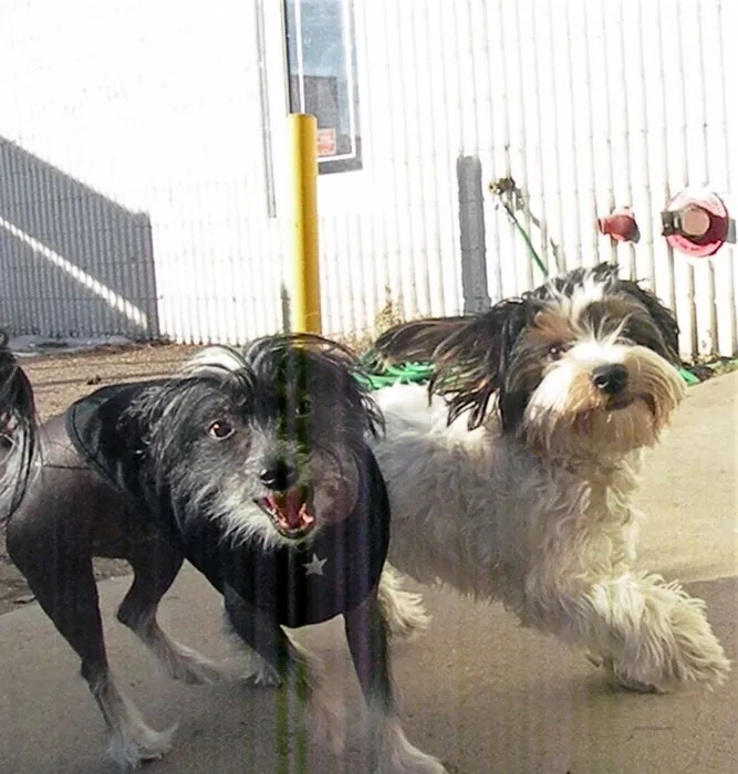 Slide of Maximum Comfort Heating and Air