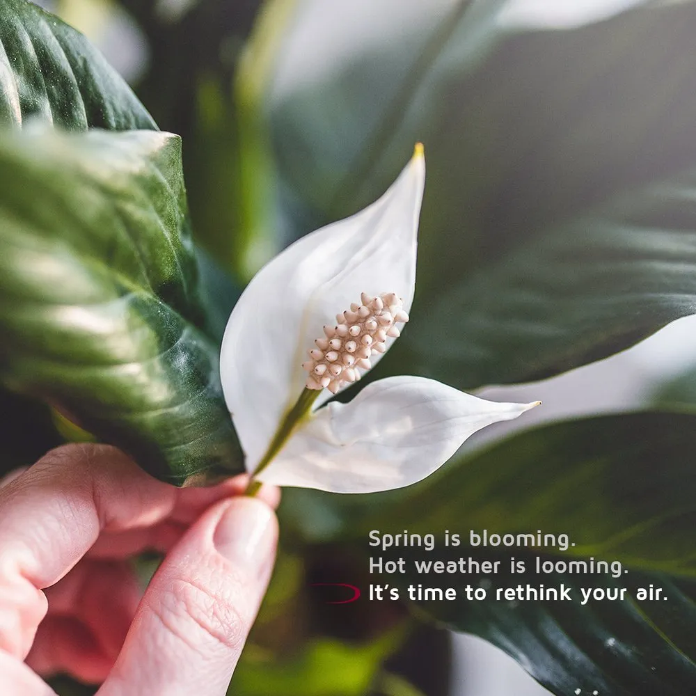 Slide of Maxwell Heating & Cooling