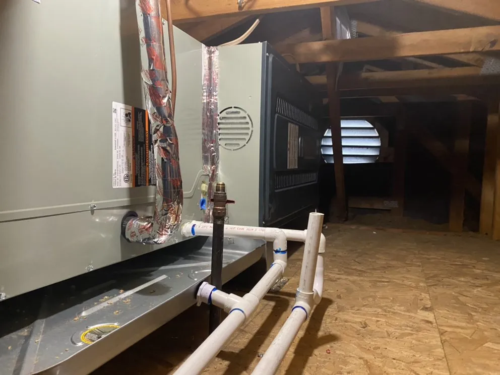 Slide of Maxx Comfort