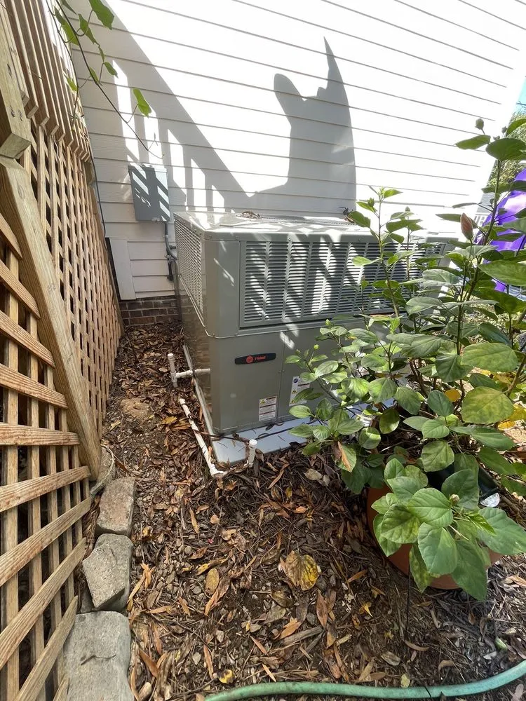 Slide of Maynor Service