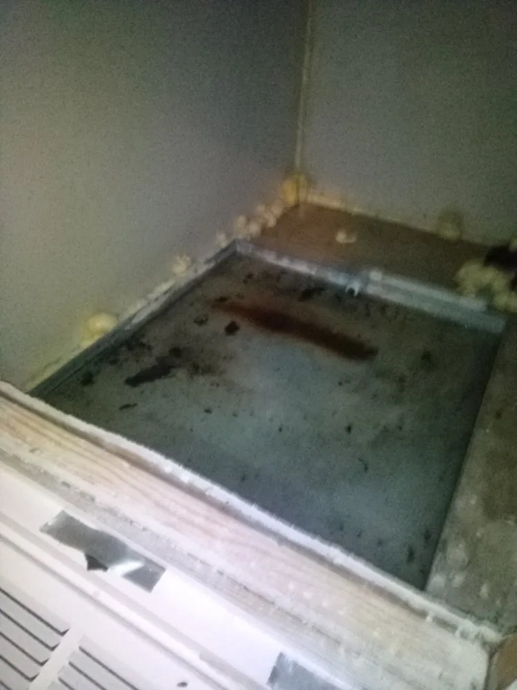 Slide of Mazers Appliance