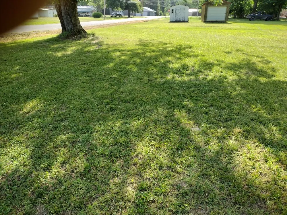 Slide of MC Handy Services