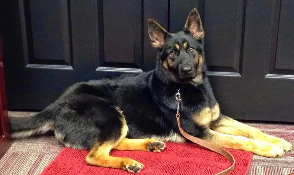 Slide of McAfee Heating, Air Conditioning, and Plumbing