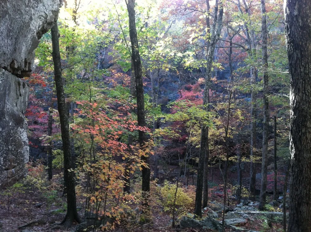 Slide of McCollum's Heating & Air Conditioning