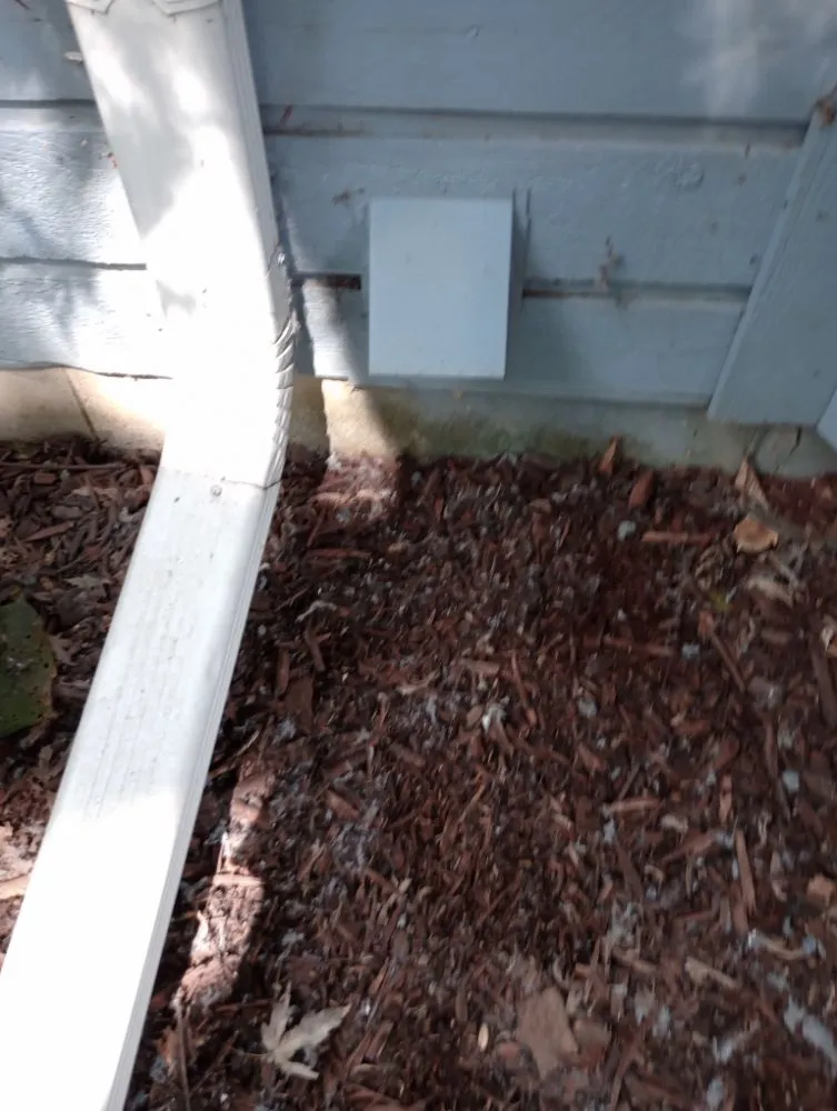 Slide of Mccollum's Ventilation