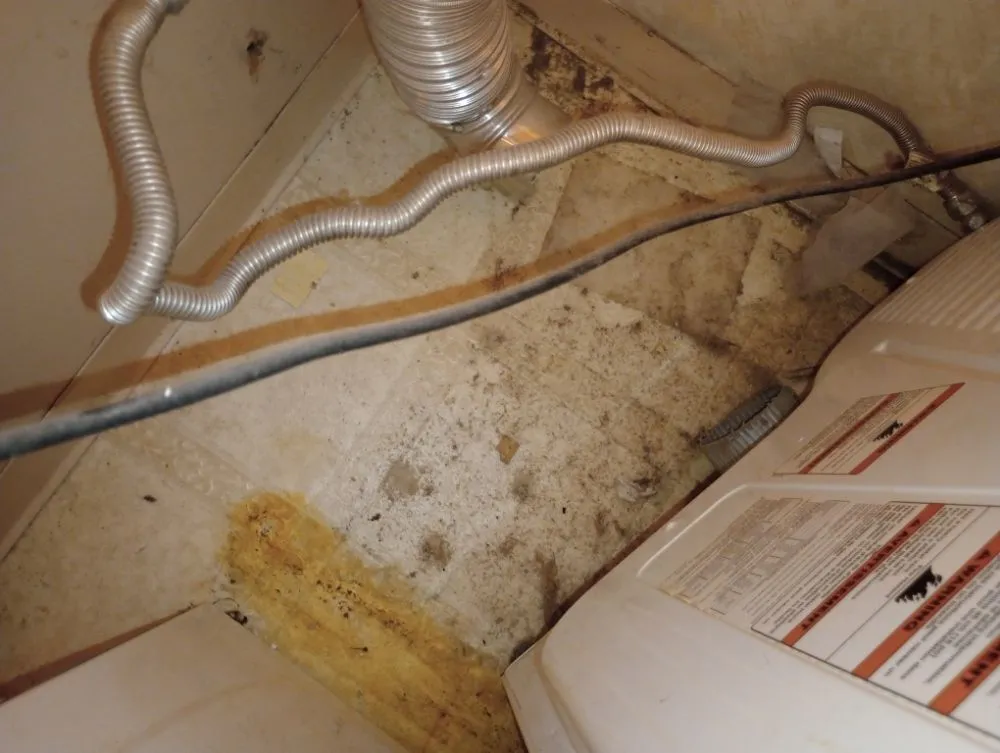 Slide of Mccollum's Ventilation