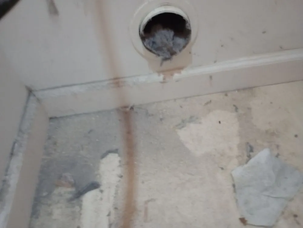 Slide of Mccollum's Ventilation