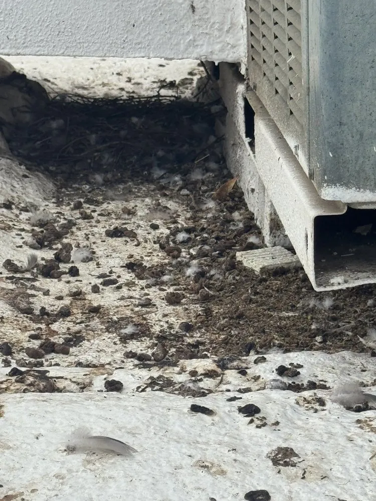 Slide of McCool Air Solutions