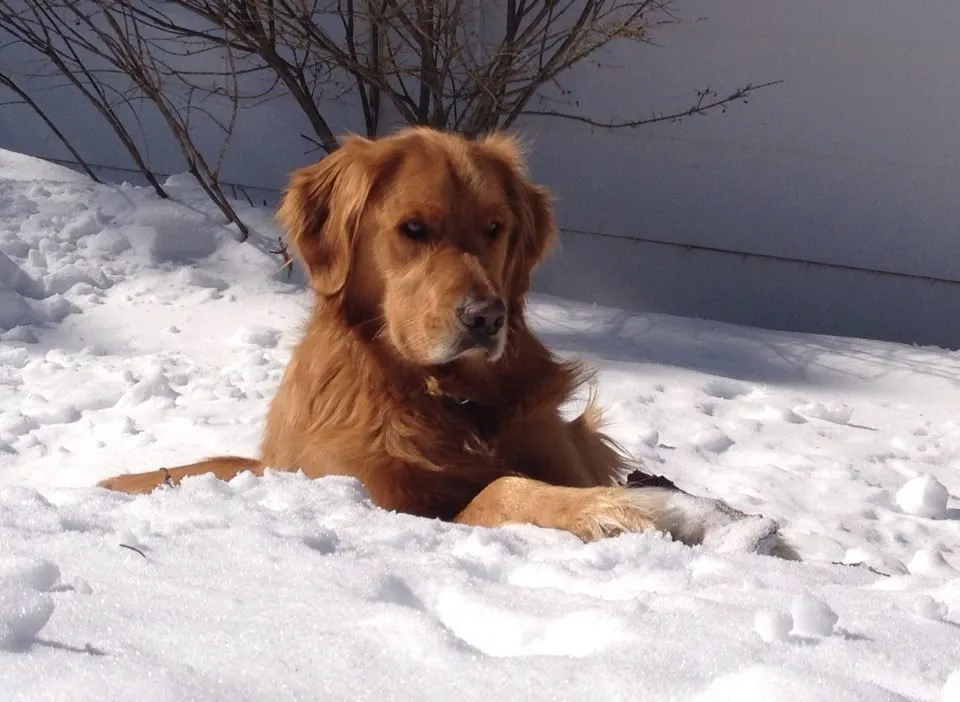 Slide of McKellips Sons Heating & Cooling