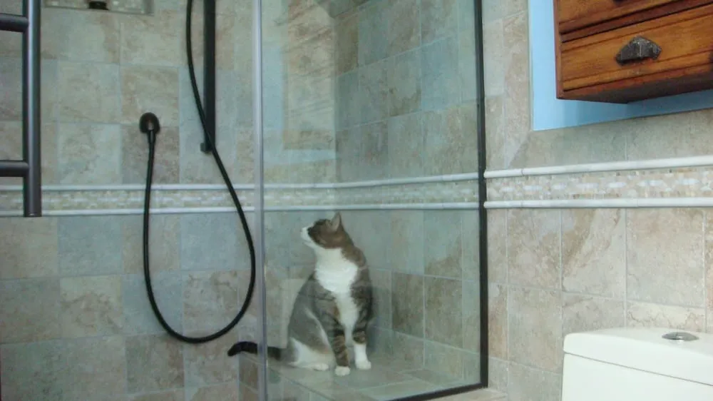 Slide of McMahon's Home Improvement