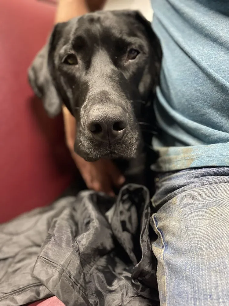 Slide of McNally's Heating and Cooling