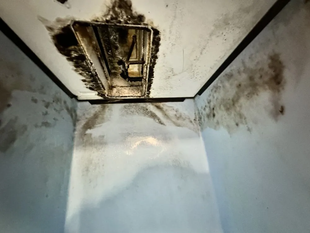 Local HVAC repair experts serving Castle Hayne, NC - Mechanical Freedom