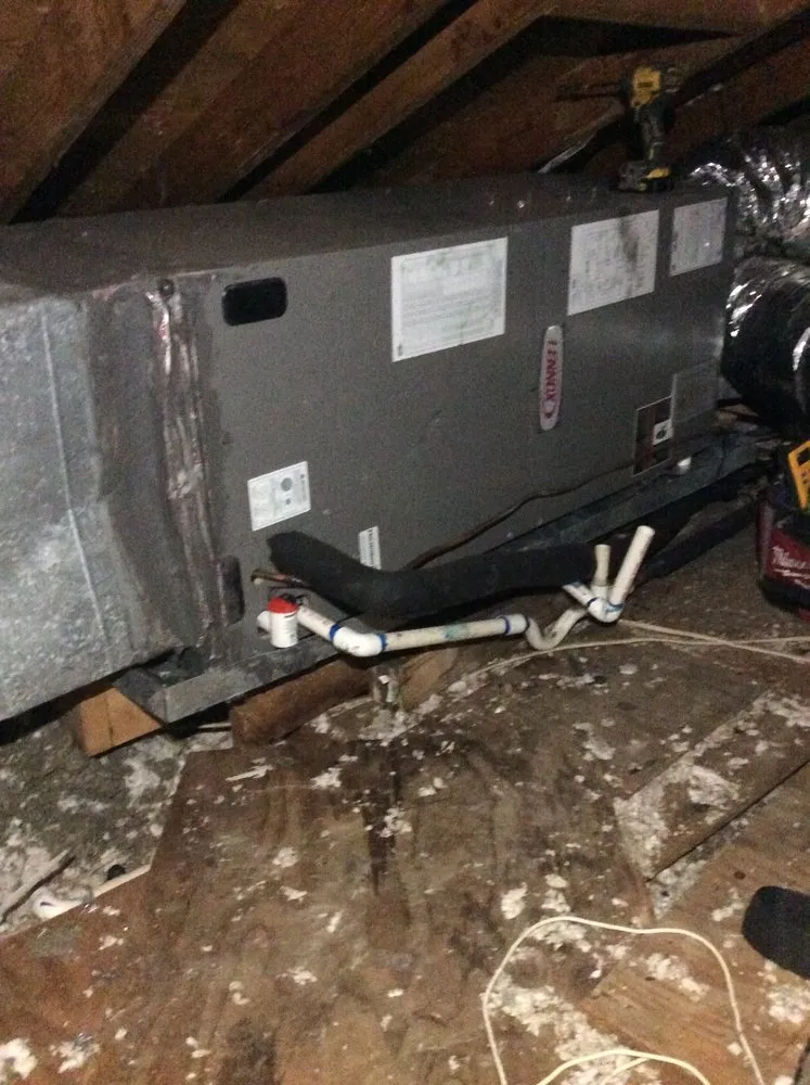 Slide of Mechanical Shark