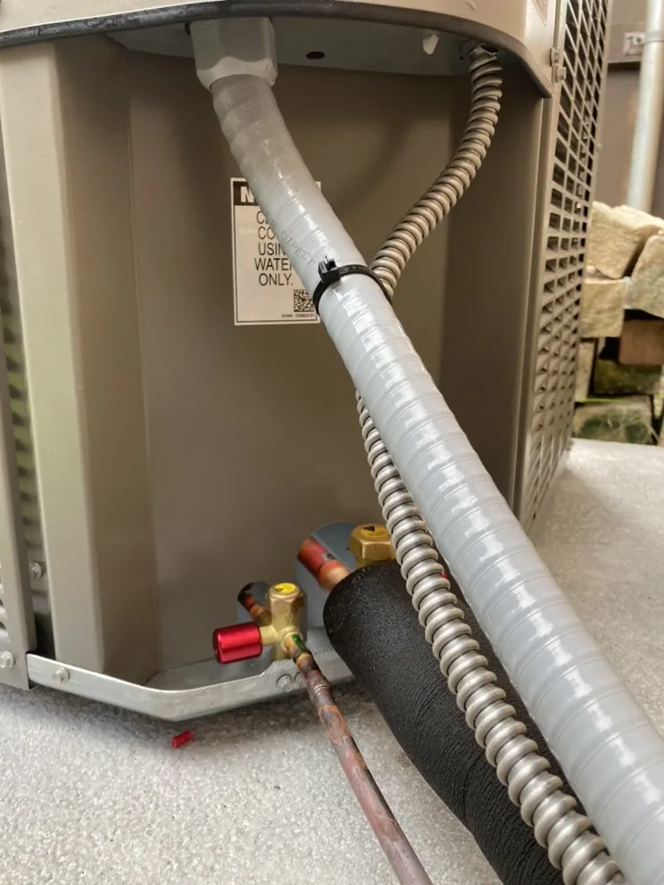 Slide of Mechanical Shark