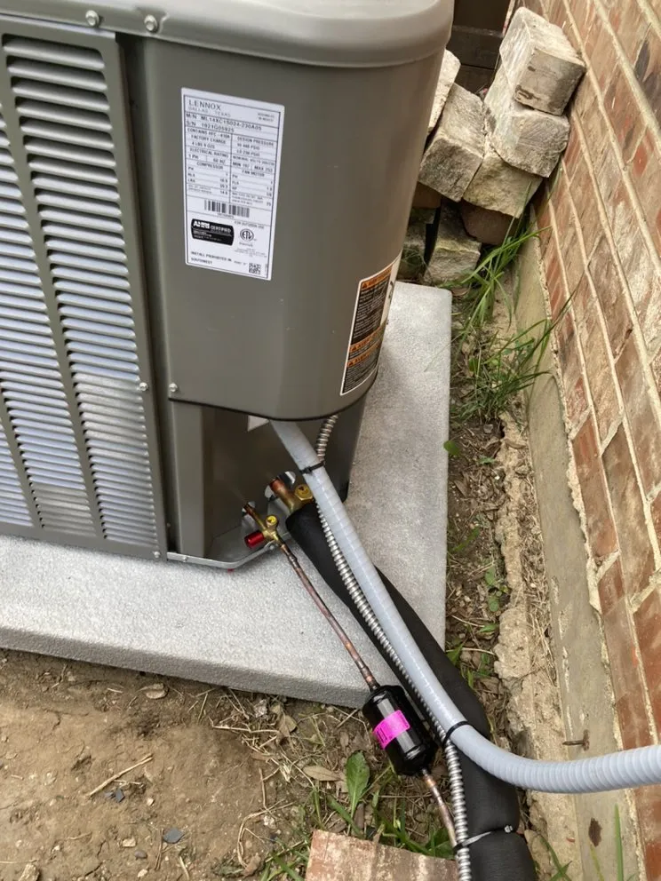 Slide of Mechanical Shark