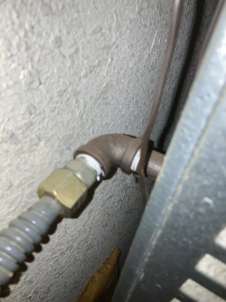 Slide of Mechanical Shark