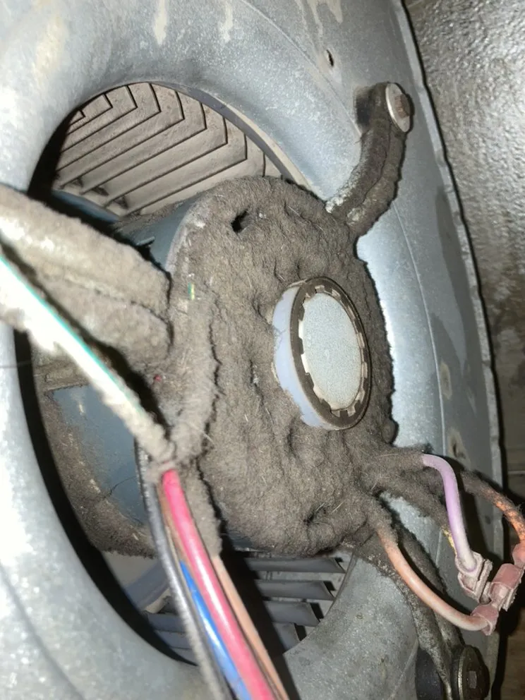 Slide of Mechanical Shark