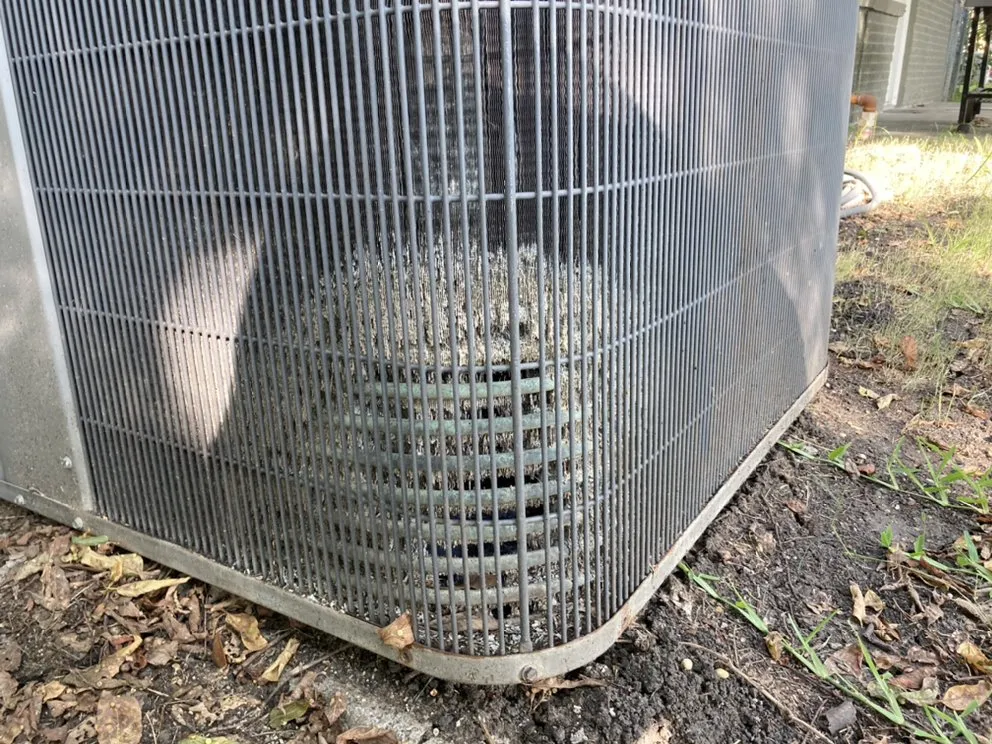 Slide of Mechanical Shark