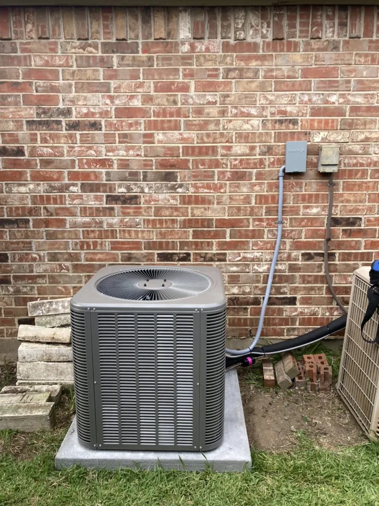 Slide of Mechanical Shark