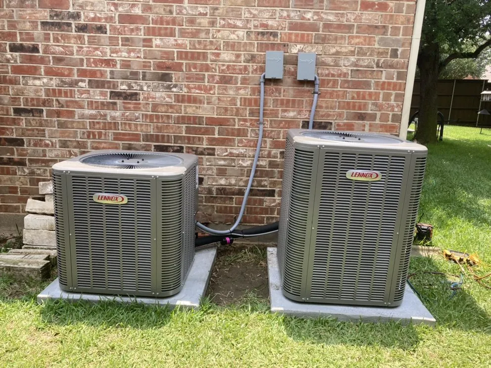 Slide of Mechanical Shark