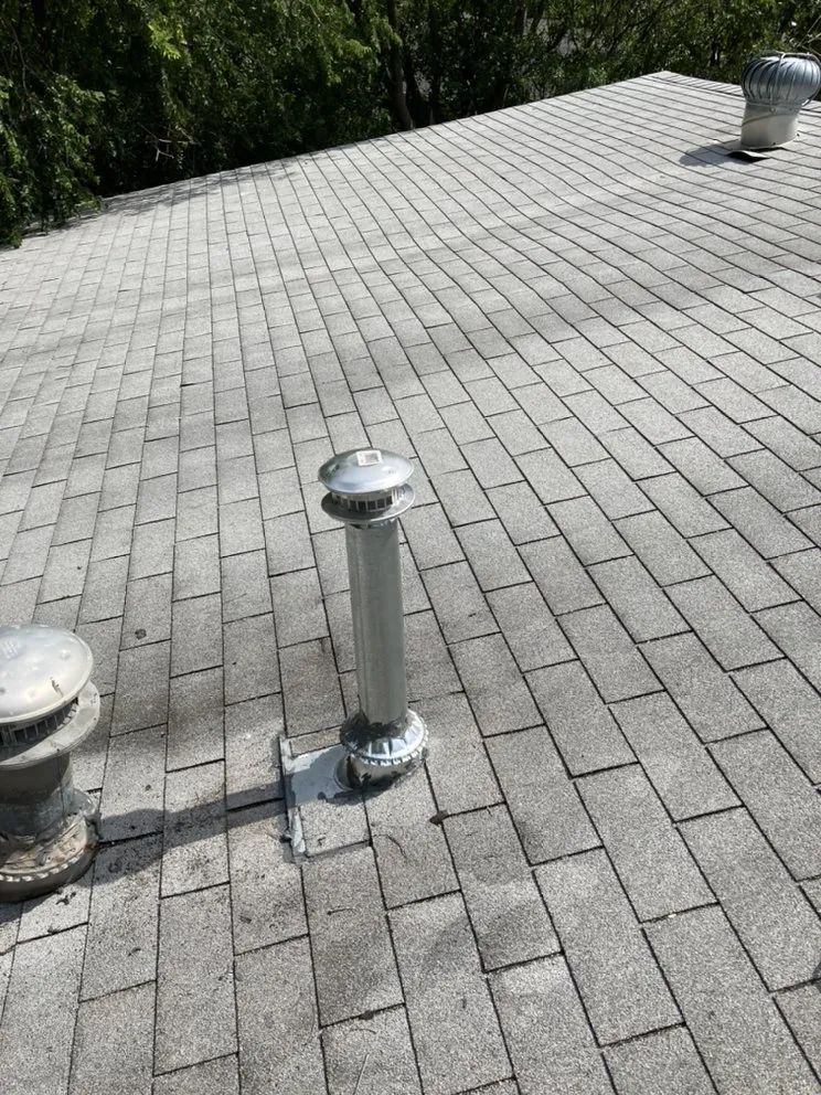 Slide of Mechanical Shark