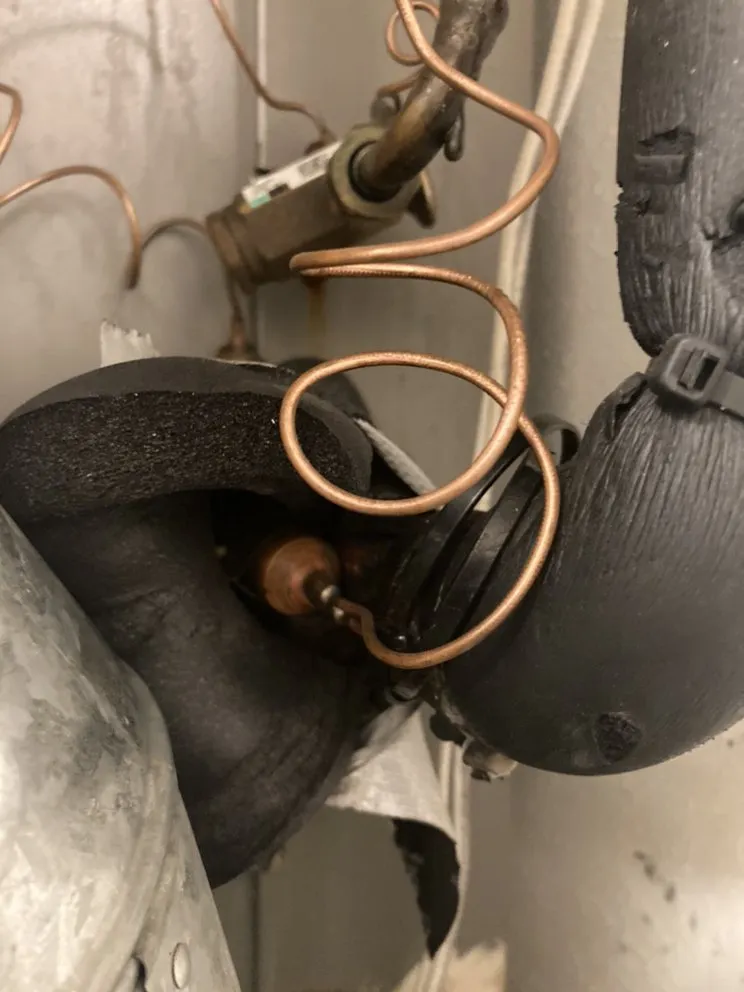 Slide of Mechanical Shark