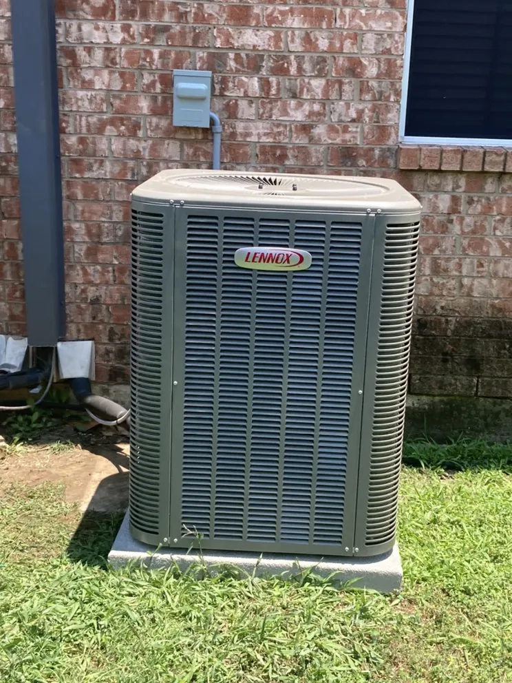 Slide of Mechanical Shark