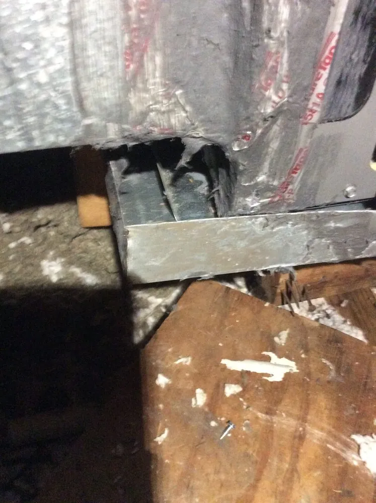 Slide of Mechanical Shark