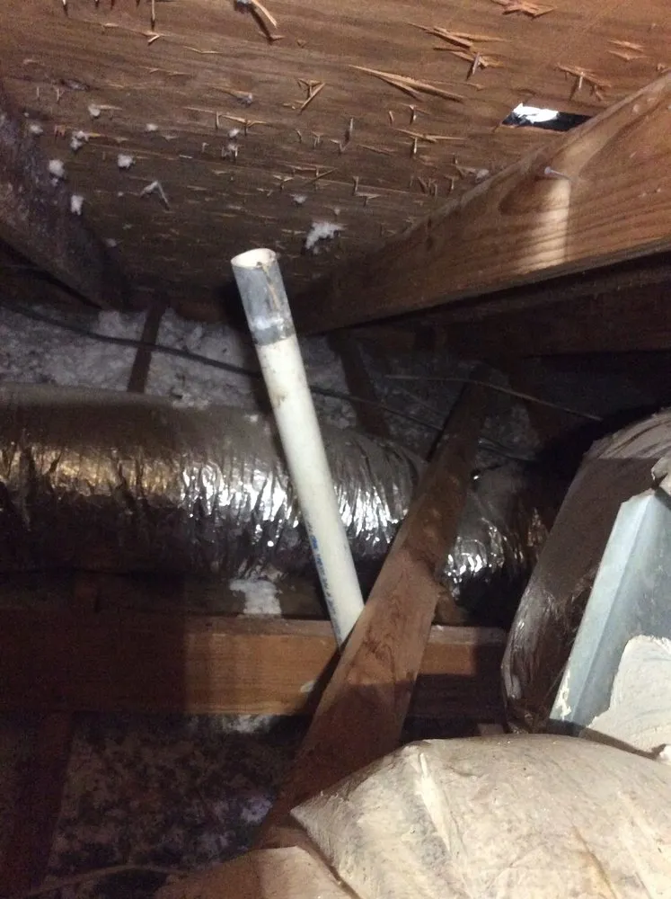 Slide of Mechanical Shark