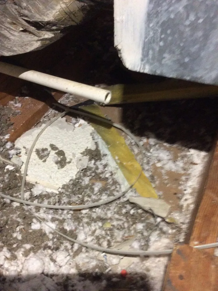 Slide of Mechanical Shark