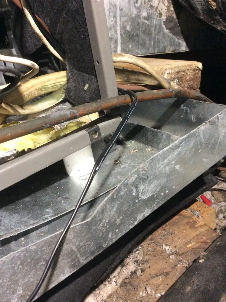 Slide of Mechanical Shark