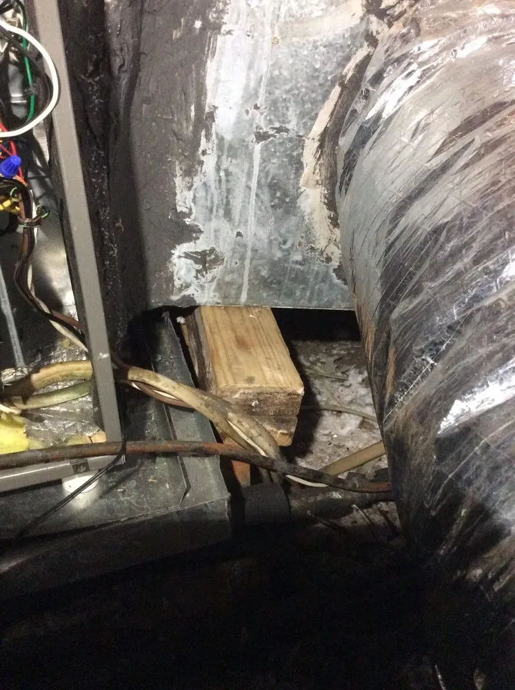 Slide of Mechanical Shark