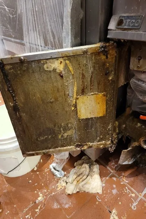 Slide of MechaniClean