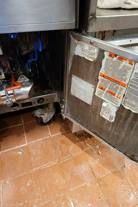 Slide of MechaniClean