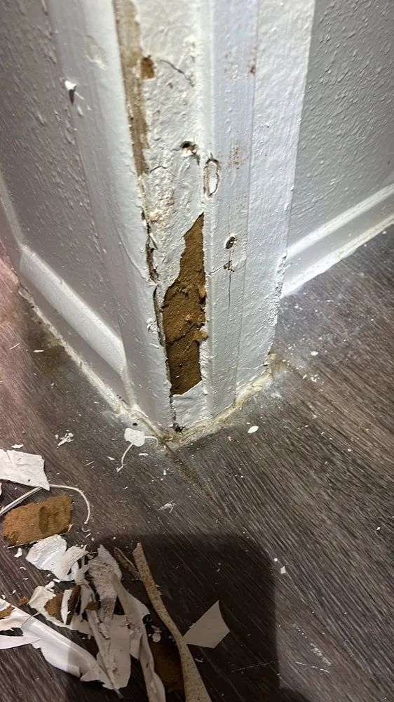 Slide of Melky Arias