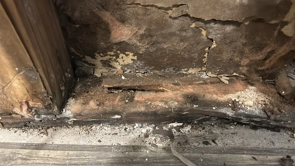 Slide of Melky Arias