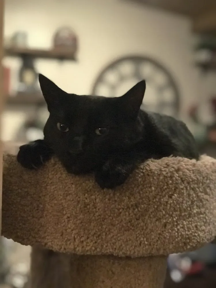 Slide of Mercury Heating and Air