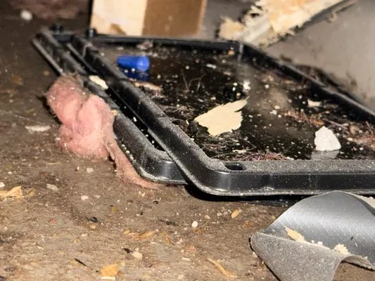 Merrimack Valley Plumbing