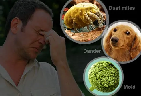 Slide of Miami AC Filters