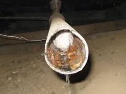 Slide of Miami Biofeedback