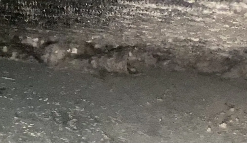 Slide of Miami Facilities & Maintenance Solutions