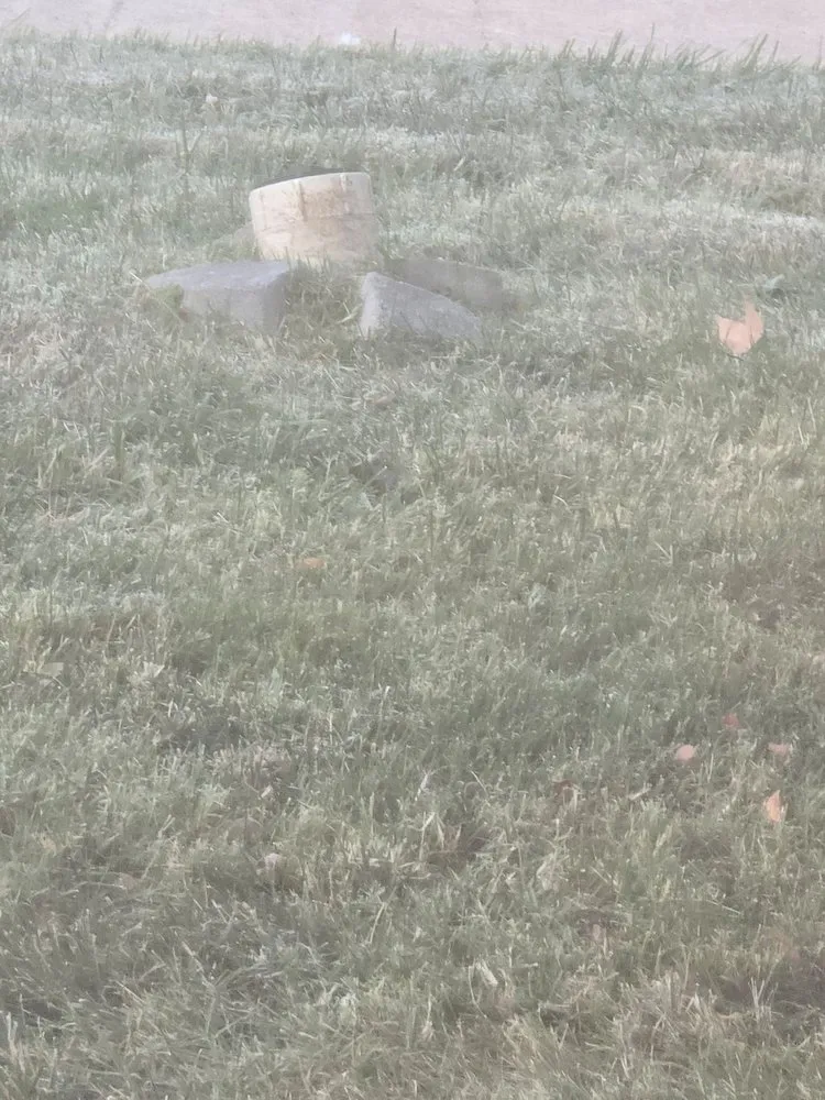 Slide of Michael & Son Services Baltimore