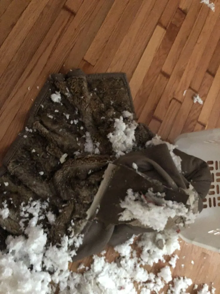 Slide of Michael & Son Services Charlottesville