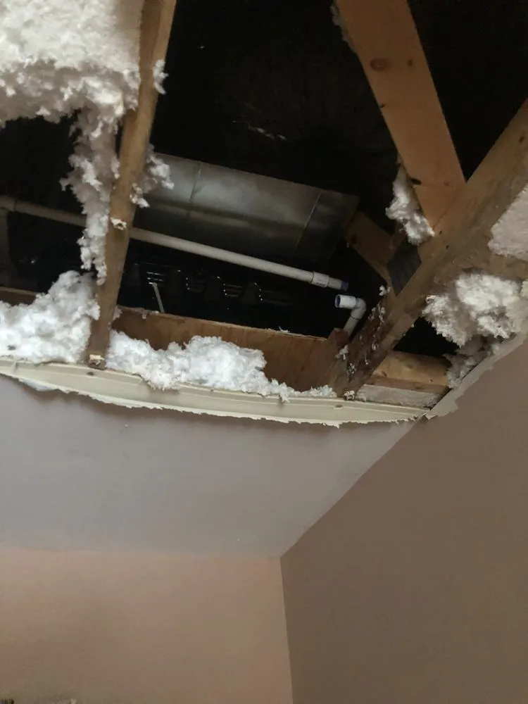 Slide of Michael & Son Services Charlottesville