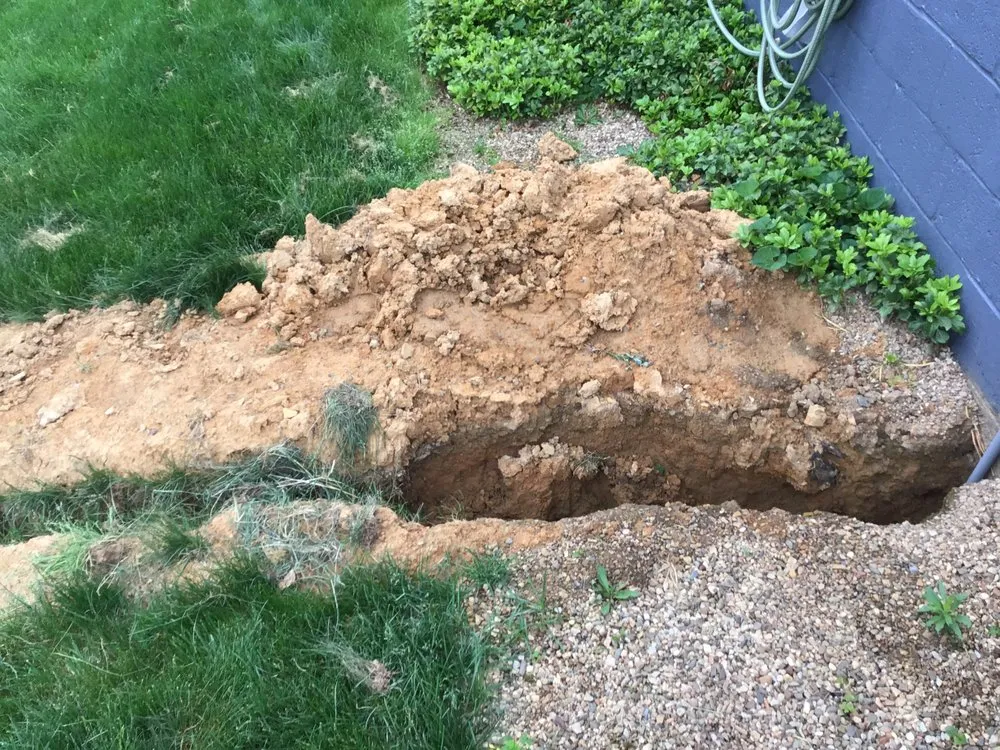 Slide of Michael & Son Services Charlottesville