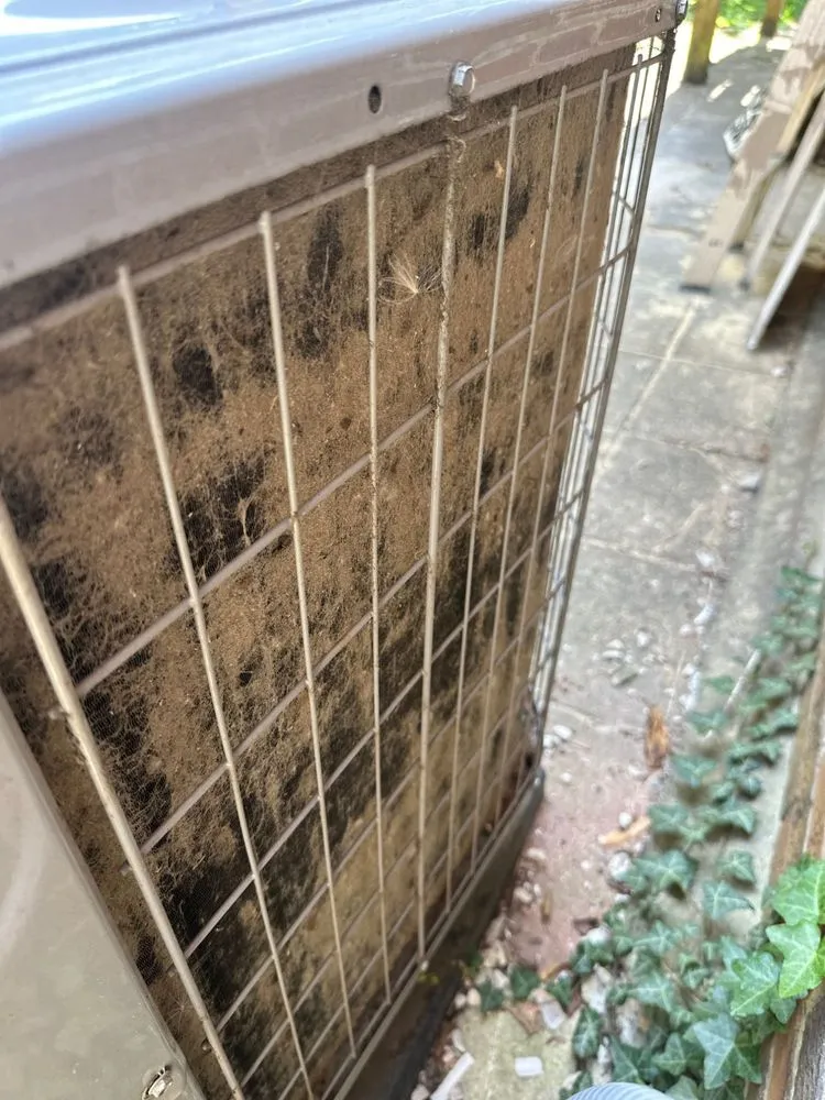 Slide of Michael & Son Services Hyattsville